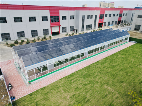 Solar Power Greenhouse